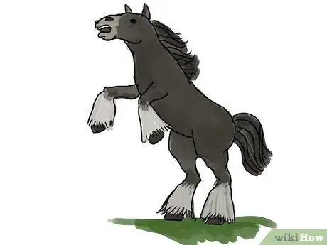 Draw a Horse Step 23