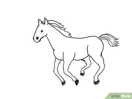 Draw a Horse Step 10