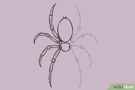 Draw a Spider Step 14