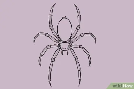 Draw a Spider Step 16