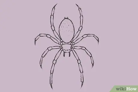 Draw a Spider Step 17