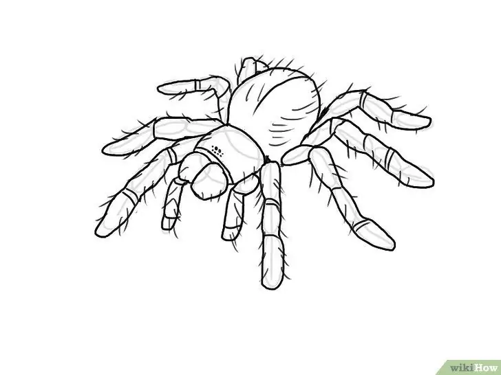 Draw a Spider Step 8