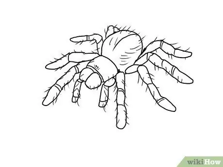 Draw a Spider Step 9