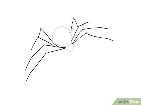 Draw a Spider Step 12