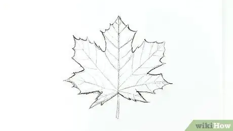 Zeichnen Sie ein Maple Leaf Schritt 8