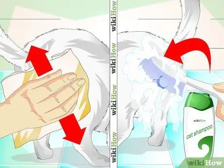 ทำความสะอาดขนแมว ขั้นตอนที่ 4